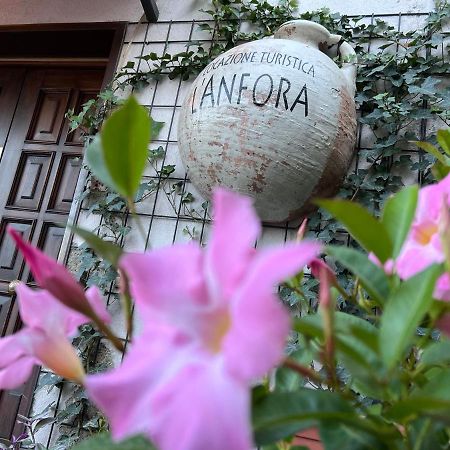 Apartamento L' Anfora Locazione Turistica Terni Exterior foto